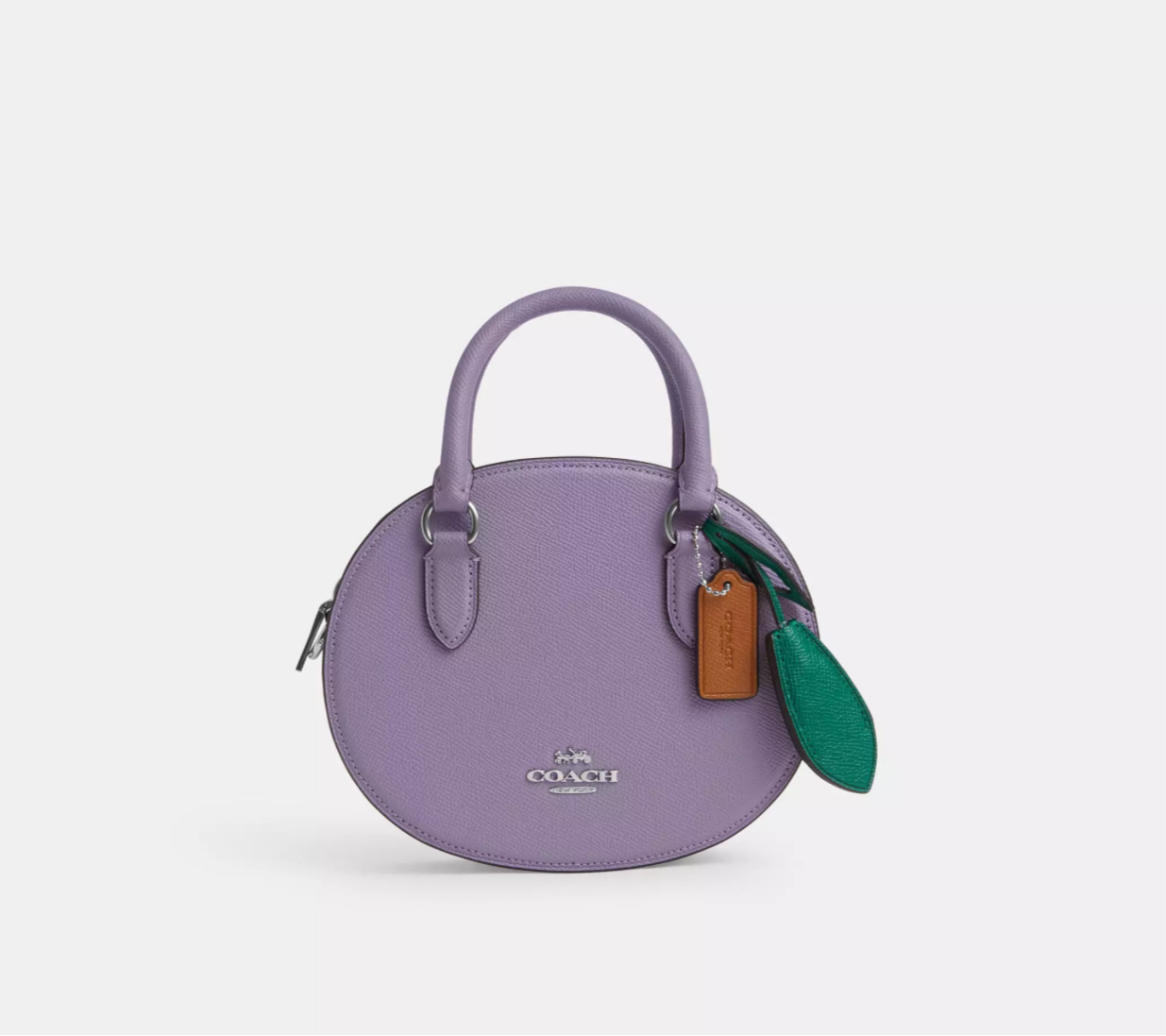 Coach Blueberry Crossbody Leather Handbag