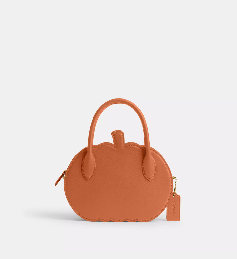 Coach Pumpkin Bag In Leather