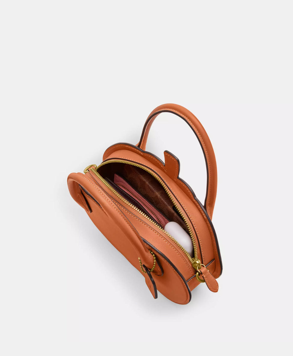 Coach Pumpkin Bag In Leather