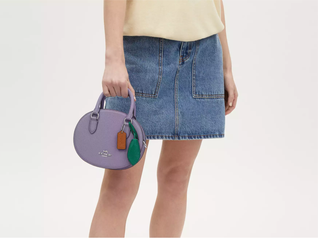 Coach Blueberry Crossbody Leather Handbag
