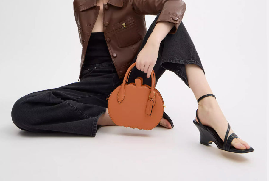 Coach Pumpkin Bag In Leather