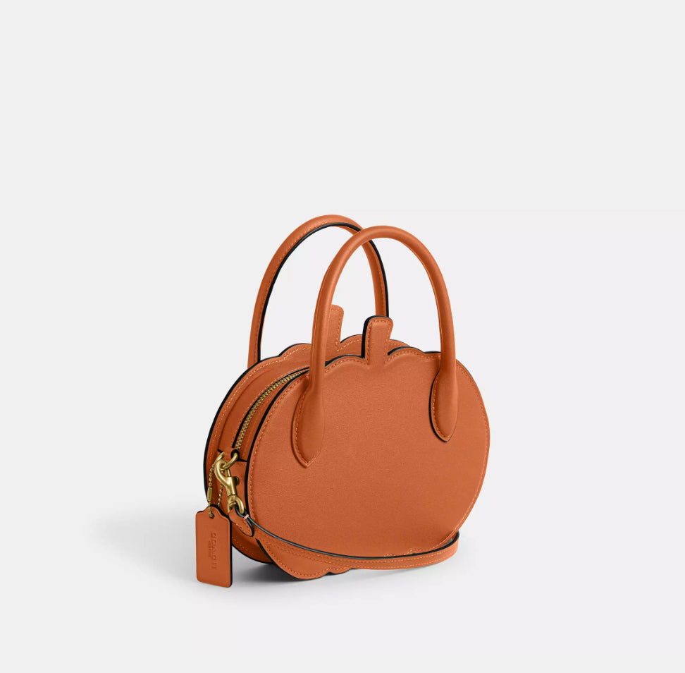 Coach Pumpkin Bag In Leather