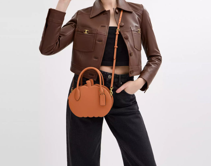 Coach Pumpkin Bag In Leather