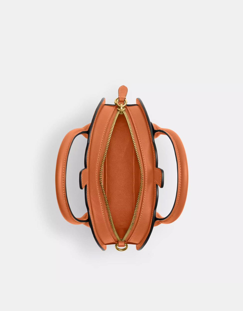 Coach Pumpkin Bag In Leather