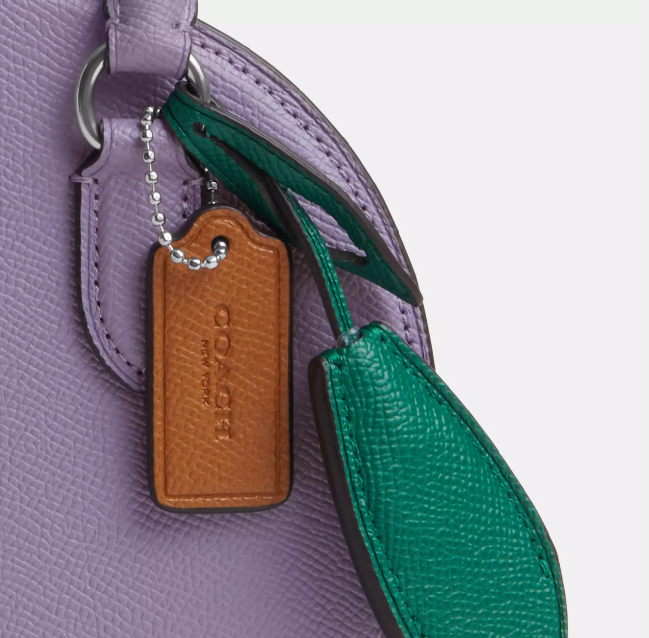 Coach Blueberry Crossbody Leather Handbag