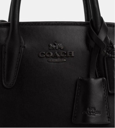 Coach Andrea Mini Carryall Top Handle Leather Bag In Black