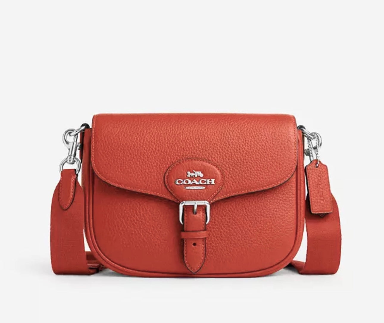Coach Amelia Saddle Bag In Leather